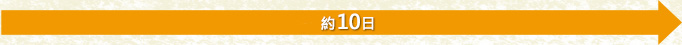 約10日